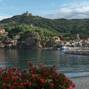 Collioure 004