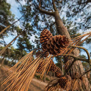 Gironde 035