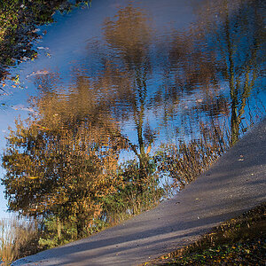Upside Down