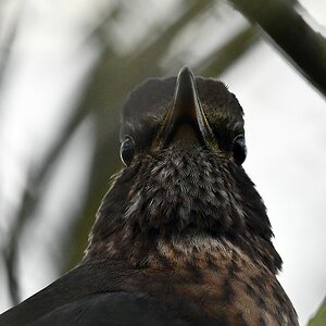 comp JEM 5207

Amsel