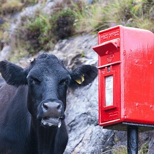 Schottland 2017