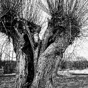 DSCF2476 Bearbeitet Bearbeitet (427x640)