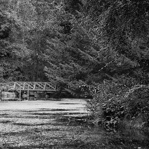 Bridge 191 sw