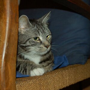 Mimi - 28.05.09