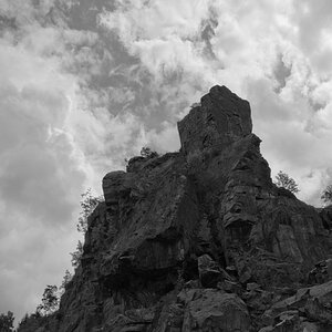DSC 3889 sw
