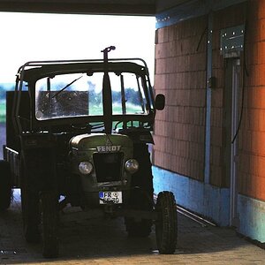 Fendt im Abendlicht