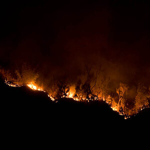 waldbrand