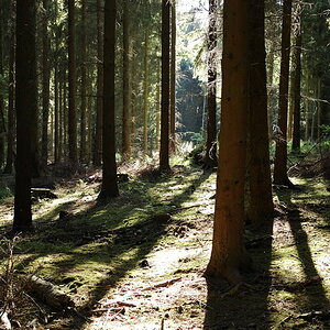 DSC 1740