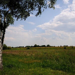 moor 6 JKK 0544 7534