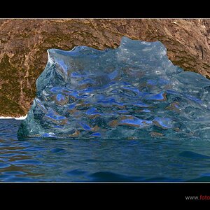 Blaues Eis im Fjord