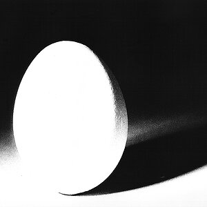 Unbenannt.   4.tif.