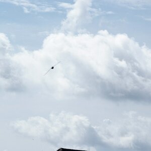 DSF1851
http://www.nikon-fotografie.de/vbulletin/showthread.php?t=100183
