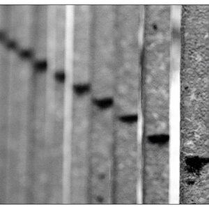 NC diagonal