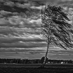 Stormy Wheather 3