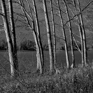 DSCF2352 Bearbeitet Bearbeitet Bearbeitet (800x533)