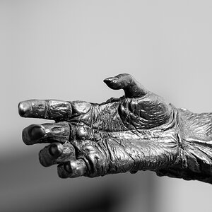 D75 9069 3x