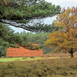 Herbststall 1