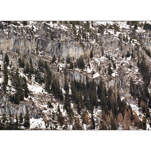 KanderDSC 7811