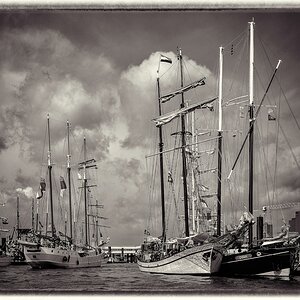 TZ ZIM 2604 BW