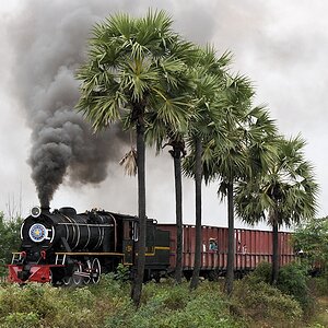 s229 bPyinmana YD964 9453
