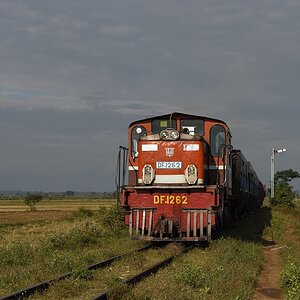 s272 Pyudwin DF1262 1225