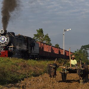s276 Pyudwin YD964 1278
