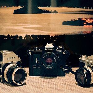TZ F1000017 A