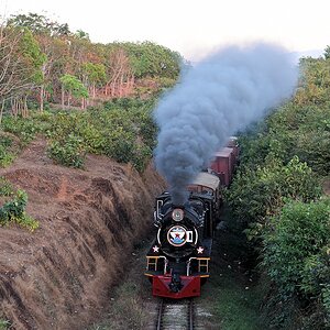 s392 bMokepalim YD967 2204