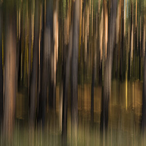 wischer 01