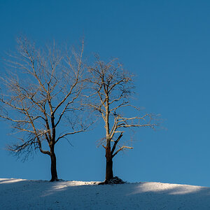 17XT2805