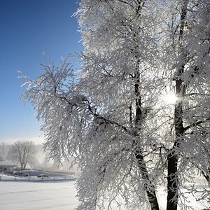 Winterurlaub in der Ramsau