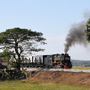 s476 bHninPale YD967 0483