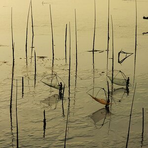 Mudfields 02