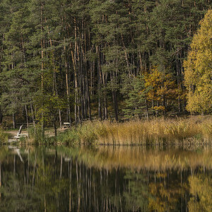 herbst 4