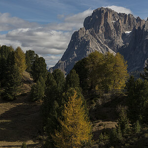 herbst 6