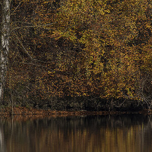 herbst 10