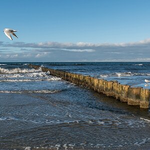 comp 20171025 DSC 15331