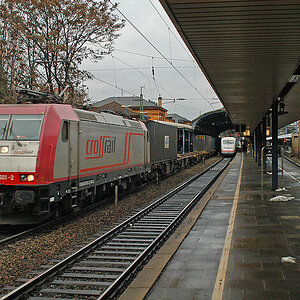 DSC 0090Kxl