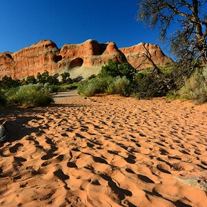SFO 9747 Arches NP