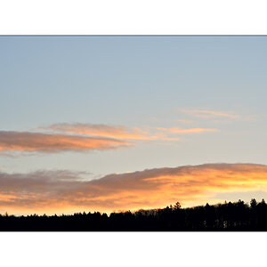 MorgenPZ1 4917