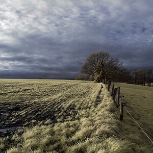 Winterweide