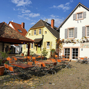 freinsheim weinstube