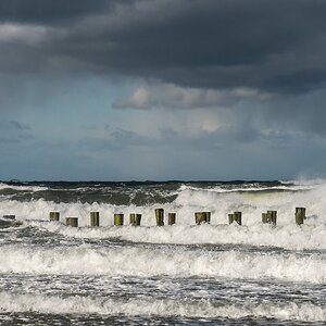 comp 20171029 DSC 16731