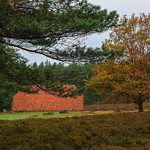Herbststall 2