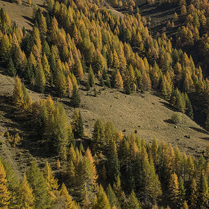 suedtirol 14