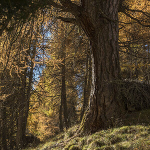 suedtirol 15