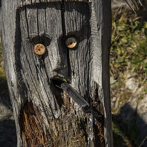 gesichter 04