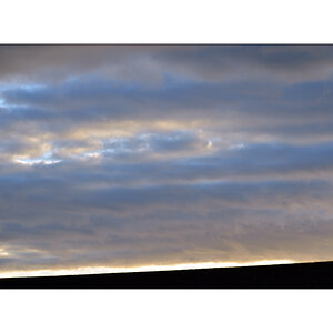 MorgenPZ1 4973