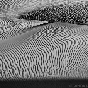 DSC 9147 BW