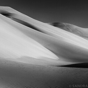 DSC 9511 BW